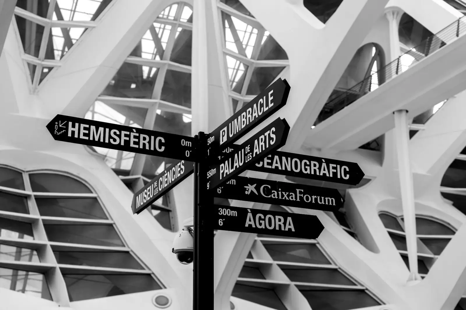 Bouteille de parfum Black Opium YSL en gros plan