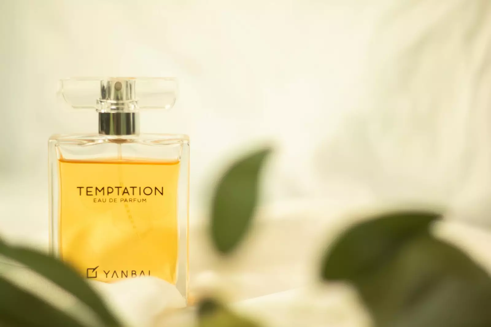 Flacons de parfums vanille pour une soirée romantique
